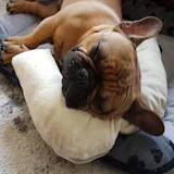My best friend Louis